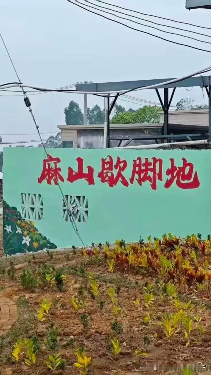乡村风情｜廉江市·车板镇×海产赴海玩海城镇

（盗用必究及法律責任）
	
廉江车