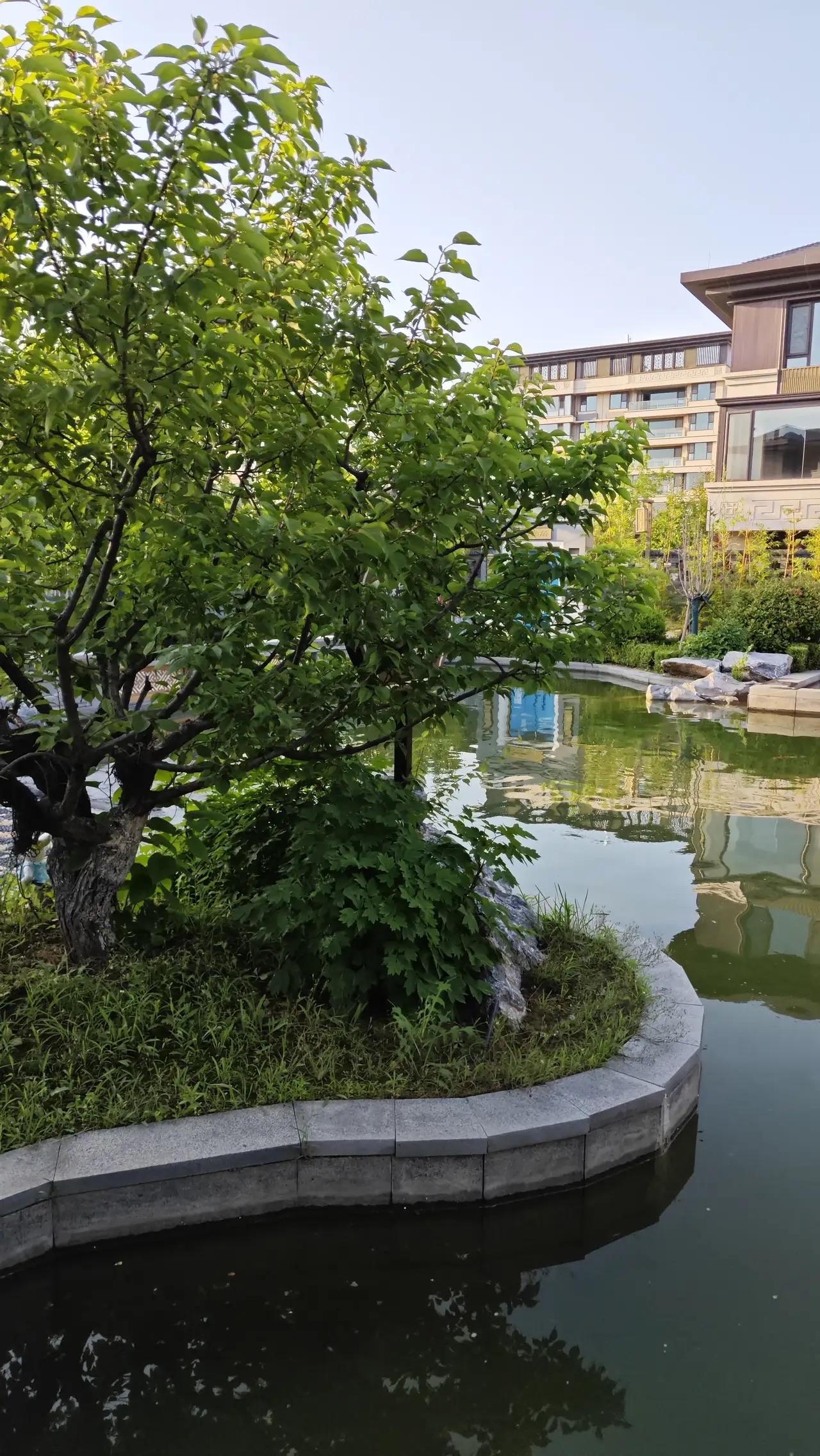 观察发现，
过了50岁的中年女人，
如果依然还能保持着一个好的身材，
大部分都是