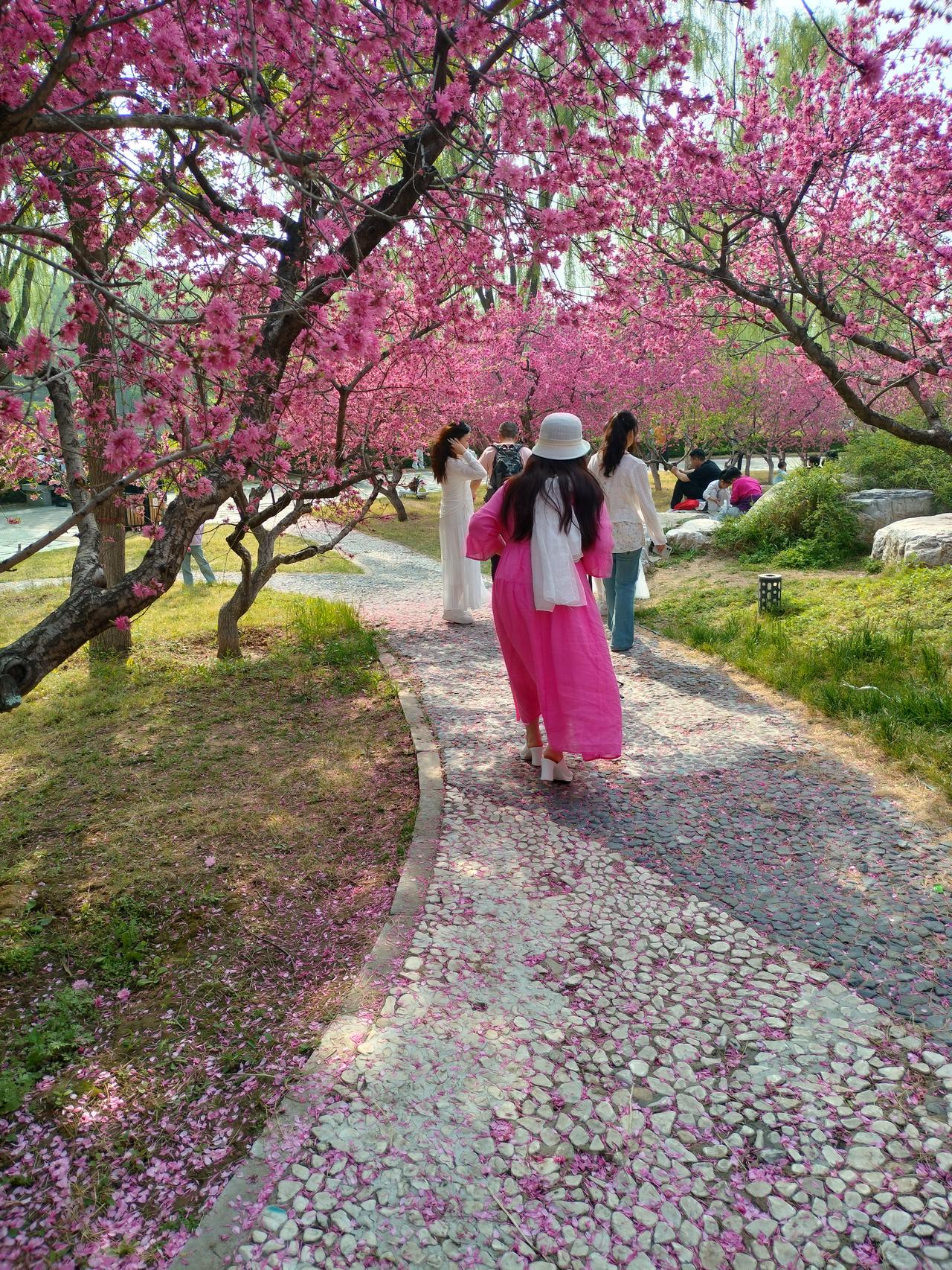 每天一句生活感悟人生的福报是有定数的，惜福才是最大的智慧！