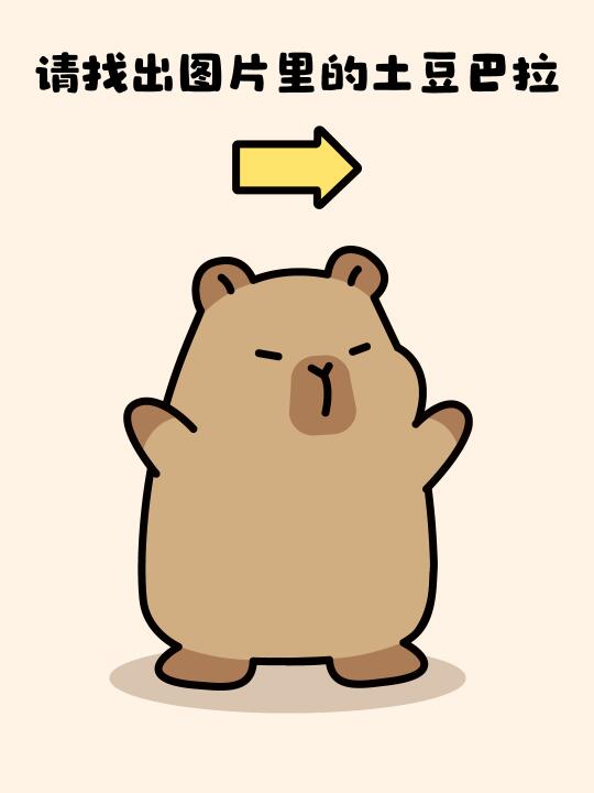 请 找 卡皮巴拉