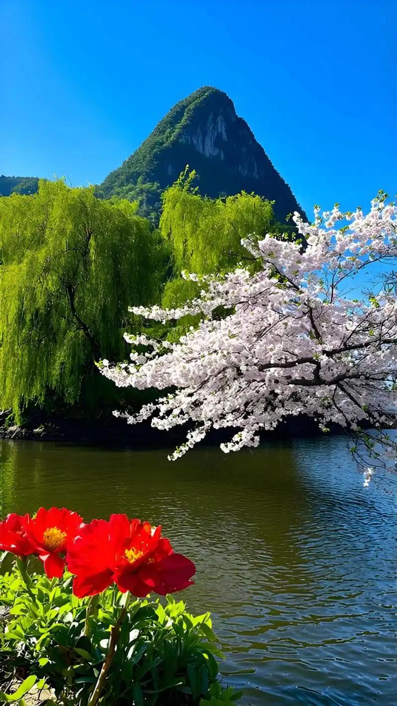 老人无德，家庭不和；老人没样，家庭不旺
 
俗话说得好，家有一老，如有一宝。但这