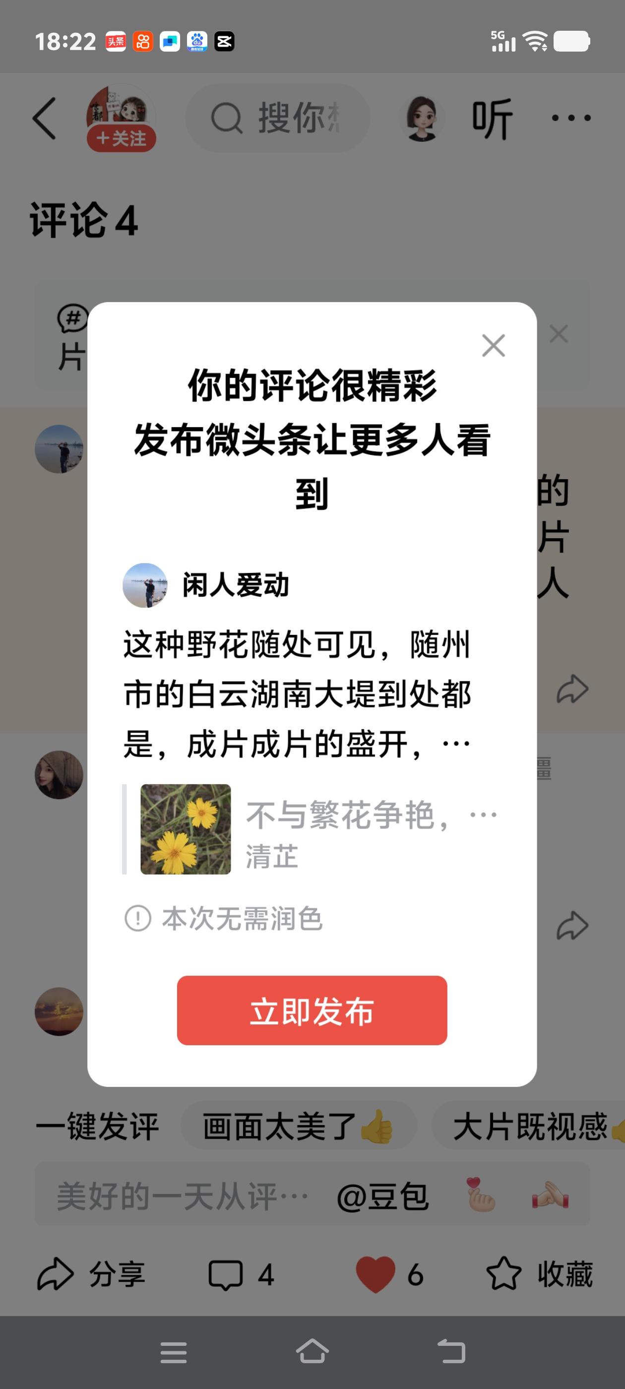 这种野花随处可见，随州市的白云湖南大堤到处都是，成片成片的盛开，吸引着散步的人前
