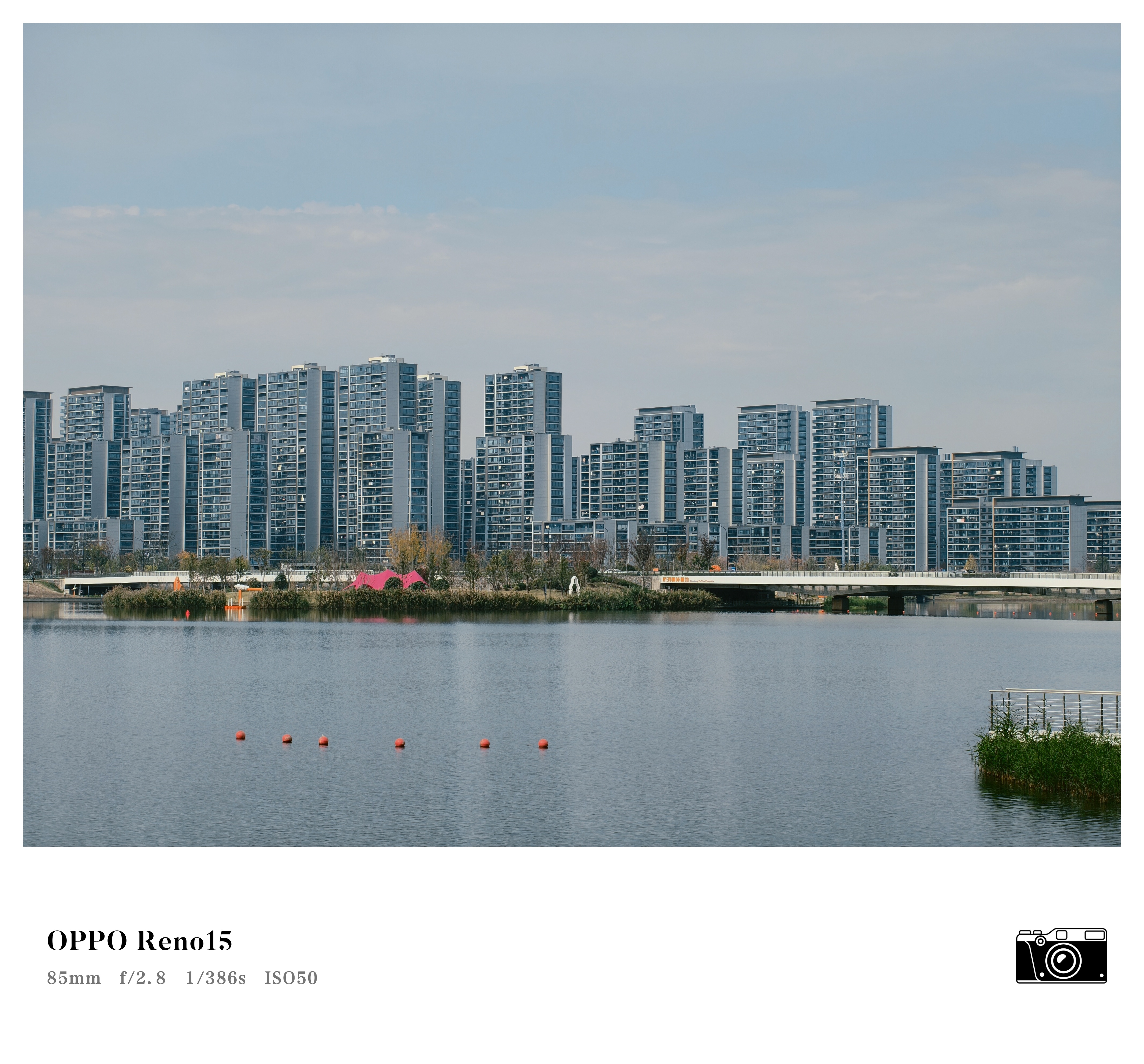 近日公园随手记录：📷：OPPO Reno15 