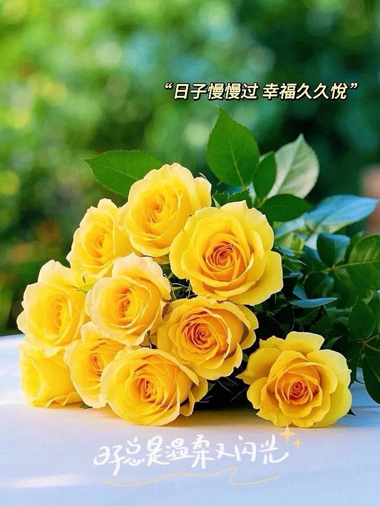 ²⁰²⁵/₅.₈️人间五月天，浅夏胜春烟，繁花似锦簇，人间烟火暖，风景皆入画，生