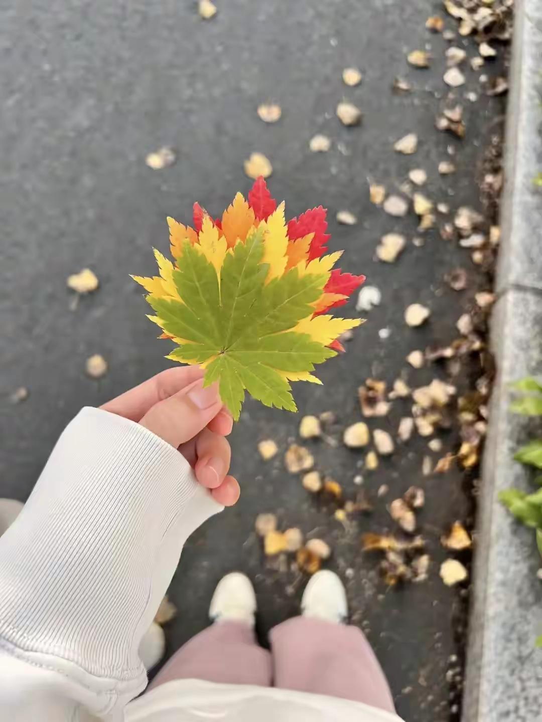 写头条改变一生，每天5点半起床，焦虑全无内心满！
谁说早起很痛苦？五点半起床让我