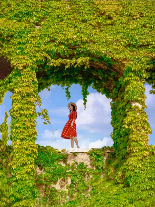 青岛小众🍀在城阳发现了现实版绿野仙踪