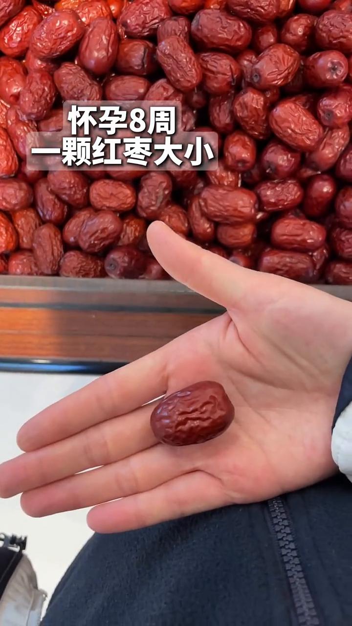 ·怀孕4周：一粒芝麻大小。
·怀孕9周：一颗开心果大小。
·怀孕10周：一颗红枣