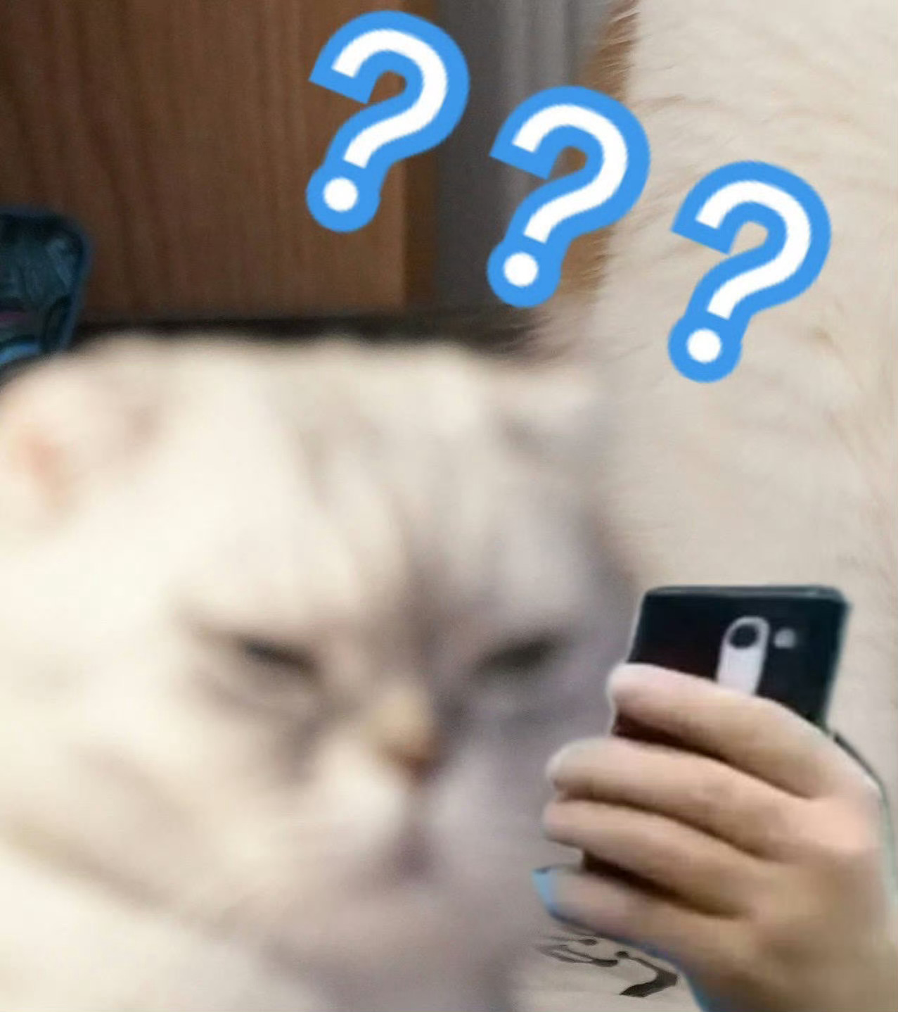 老公啥时候做的饭？？？朵子居然一点香味都没闻到？？？ 