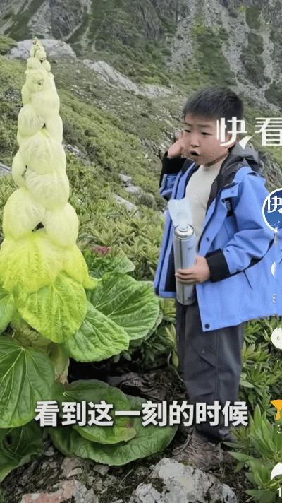 西藏，男子一家三口徒步高原，爬到4000多米时停下休息，没想到，男子远远的看到一