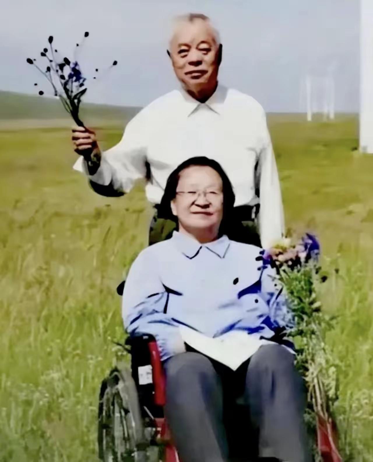 这张照片看着就让人心里暖暖的。李讷安静坐在轮椅上，脸上带着笑意，神情轻松又幸福。