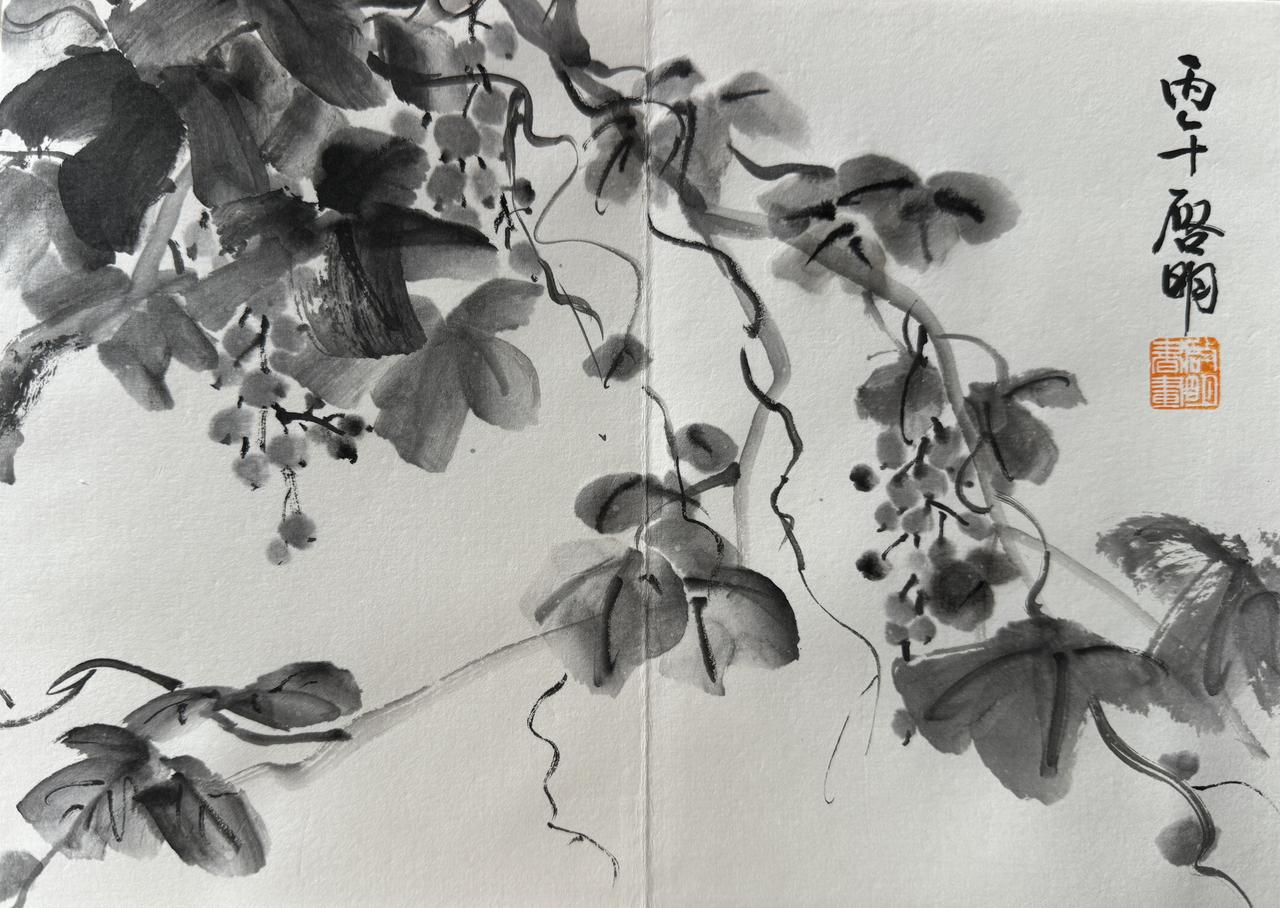 写意精品 国画传承 写意花鸟 写意葡萄