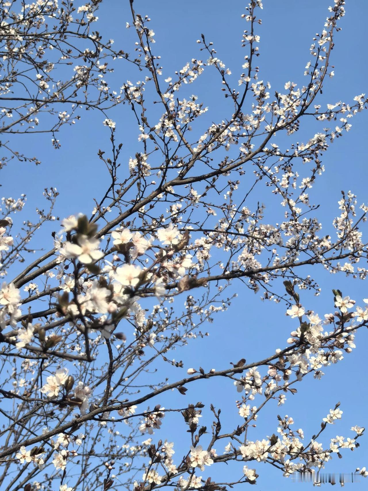 又涨工资了

昨天是打工资的日子，昨晚躺平后点开工资卡，居然多了1949元。
