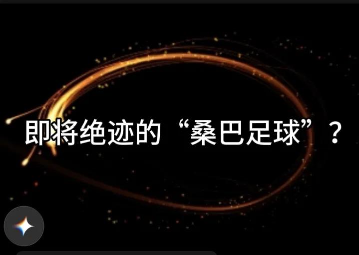 有球迷觉得，14日(北京时间)，在美国纽约新泽西体育场进行的2026美加墨世界杯