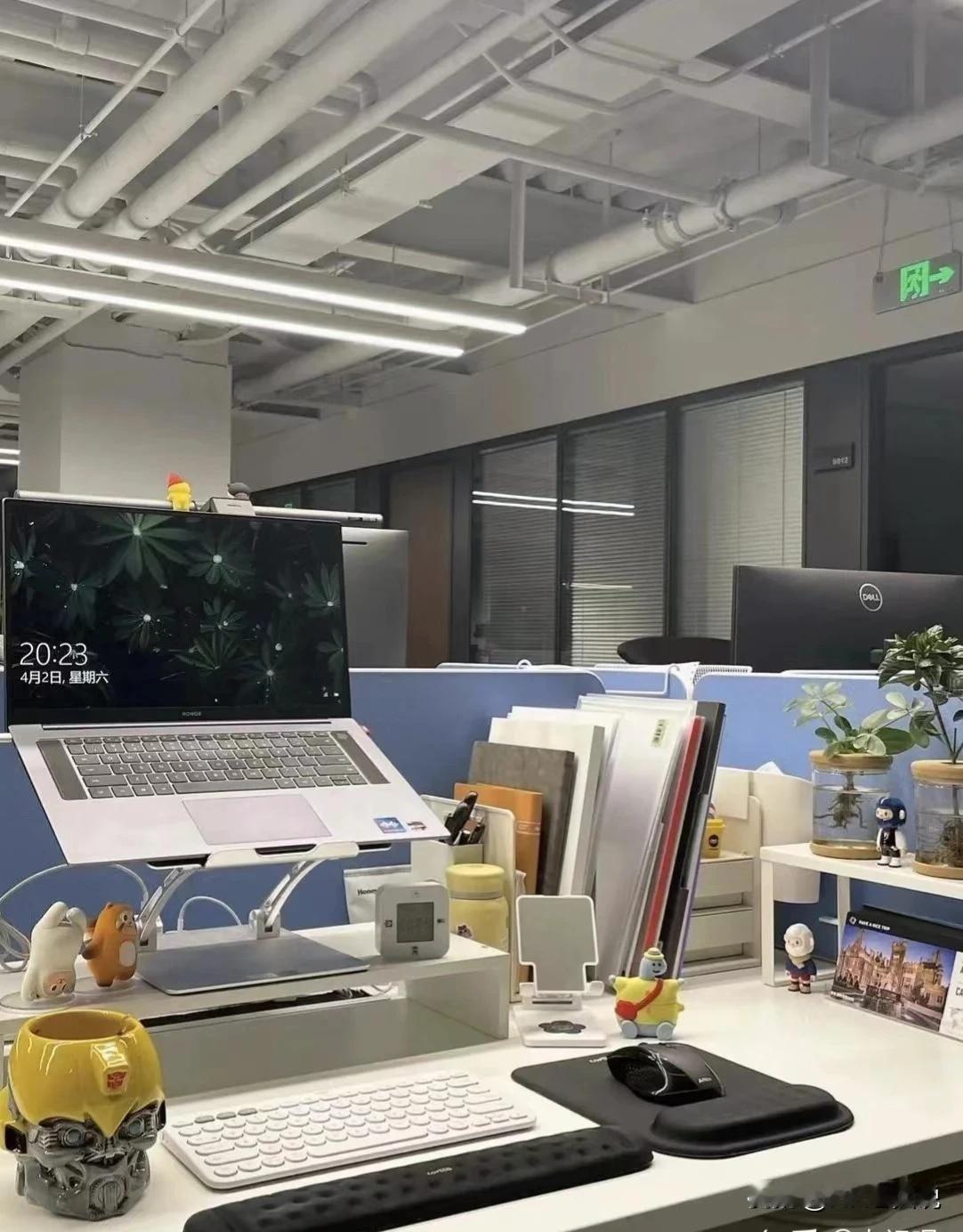 公司工作时间早8:30-晚6:00，昨天老板晚7点左右在研发办公区转了一圈，发现