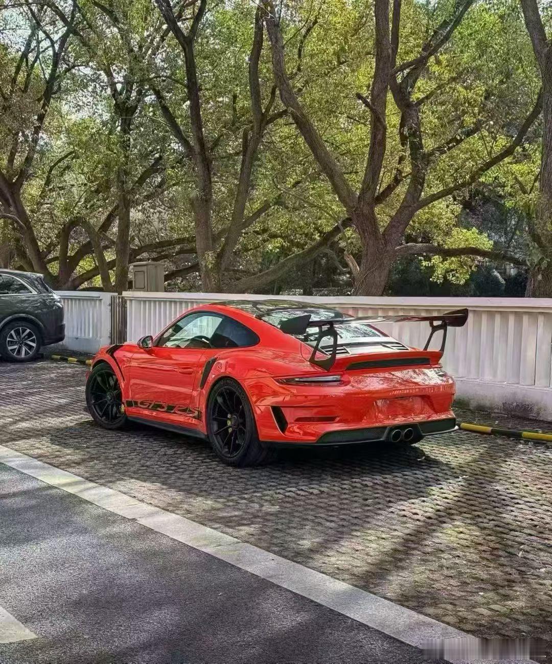 保时捷991.2 GT3 RS，特殊配色与配置 