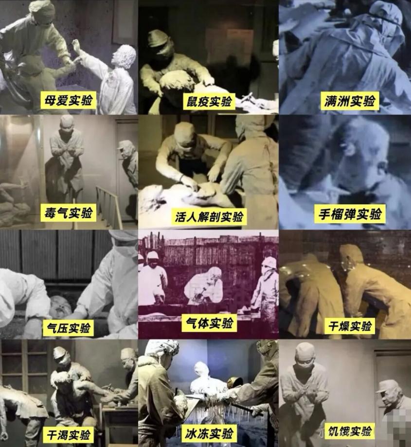 侵华日军 731 部队，是人类历史上黑暗的一页。他们把战俘与平民称作 “马路大”
