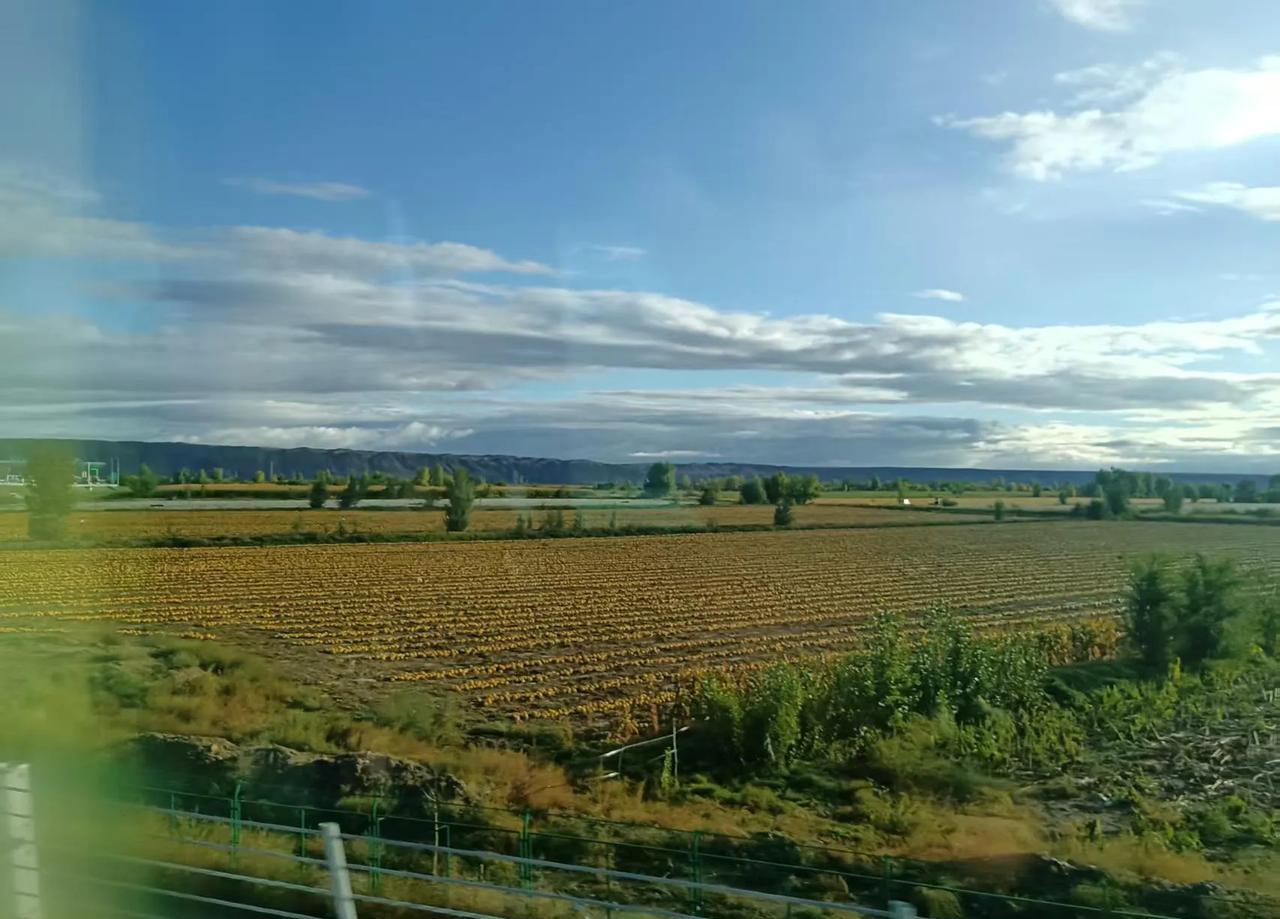 68岁老郭把存折交到小弟手里那天，俩嫂子连影子都没露。
如今人一走，她们跳出来