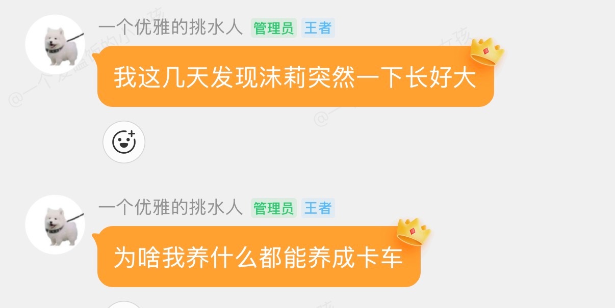 不是有点好笑哈哈哈哈哈哈哈哈哈我 