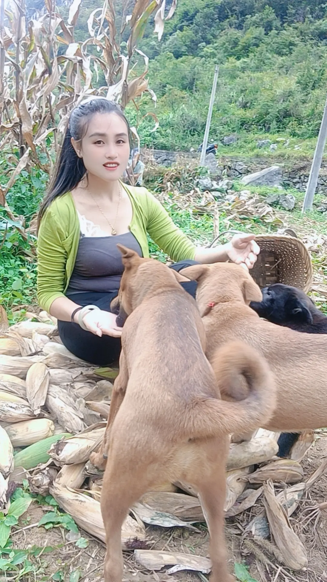 世间太假，人心太深，很多无奈自己看不清，人生就像一场戏，慌了人，也凉了...