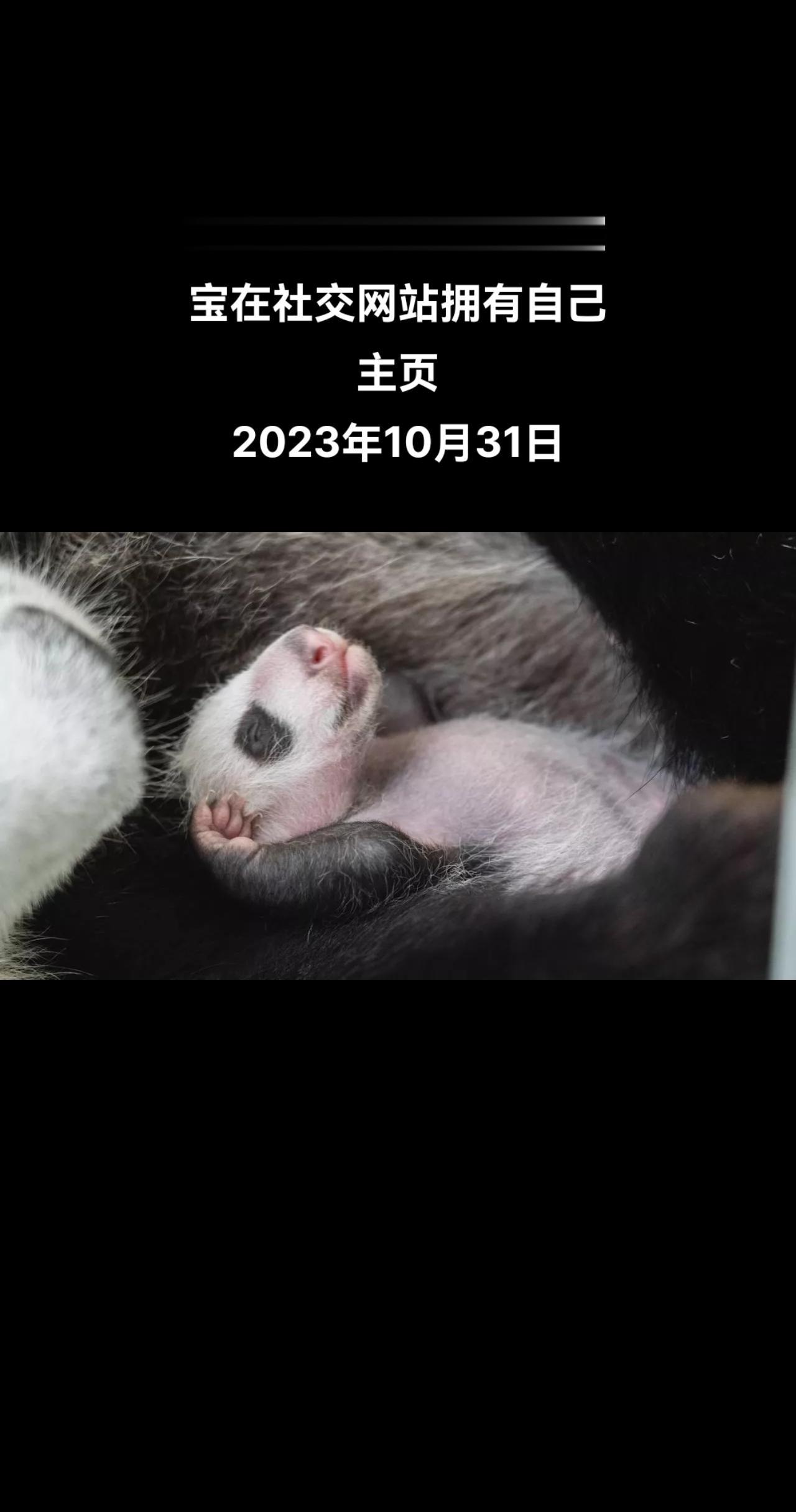 俄罗斯卫星通讯社莫斯科10月31日电 据俄罗斯莫斯科媒体报道，8月24日在莫斯科