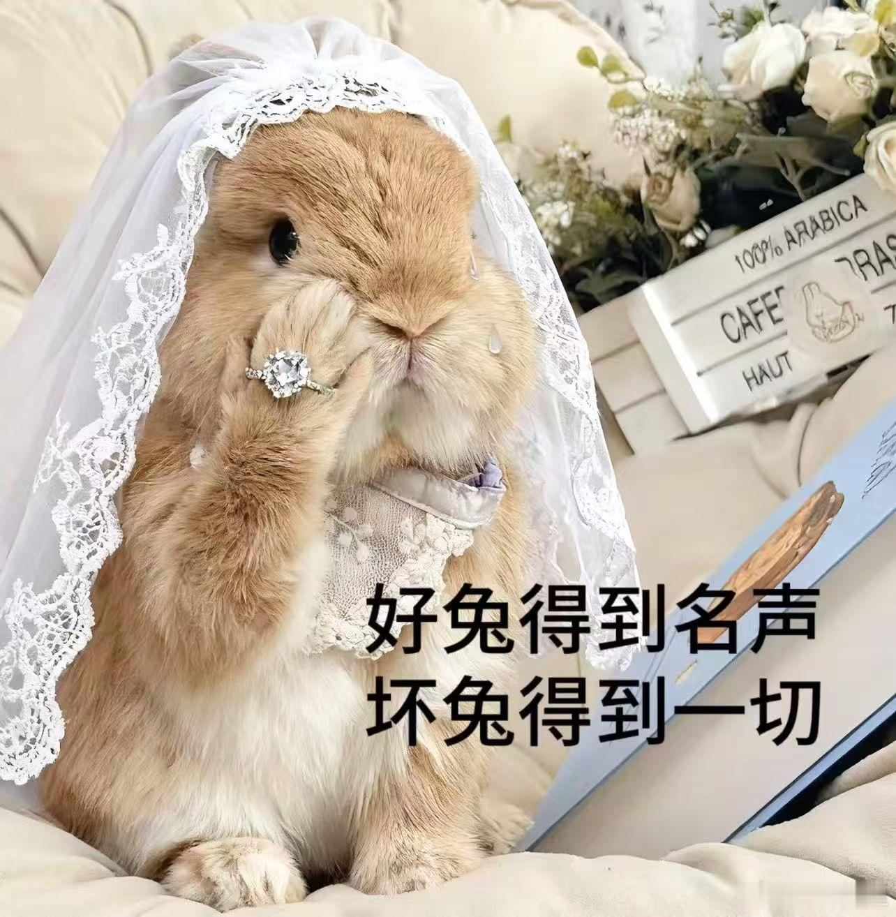 十二星座 很多人喜欢研究正缘从研究婚神开始，其实先看看七宫落什么星座更有意思，因