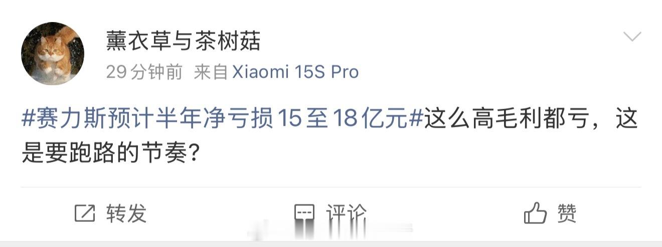 赛力斯预计半年净亏损15至18亿元就别担心赛力斯了，赛力斯开始亏钱的时候很多企业