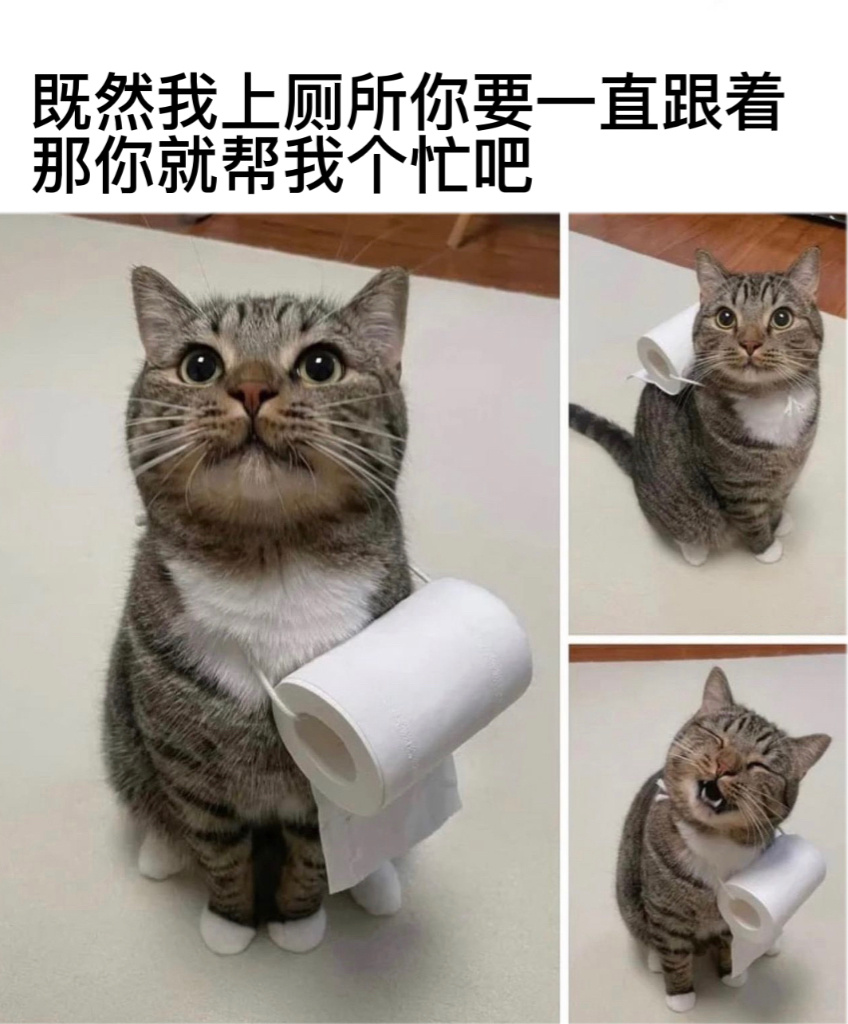很乐意为您效劳#今日memes# //#我的幽默搭子# //#定格# ​​​