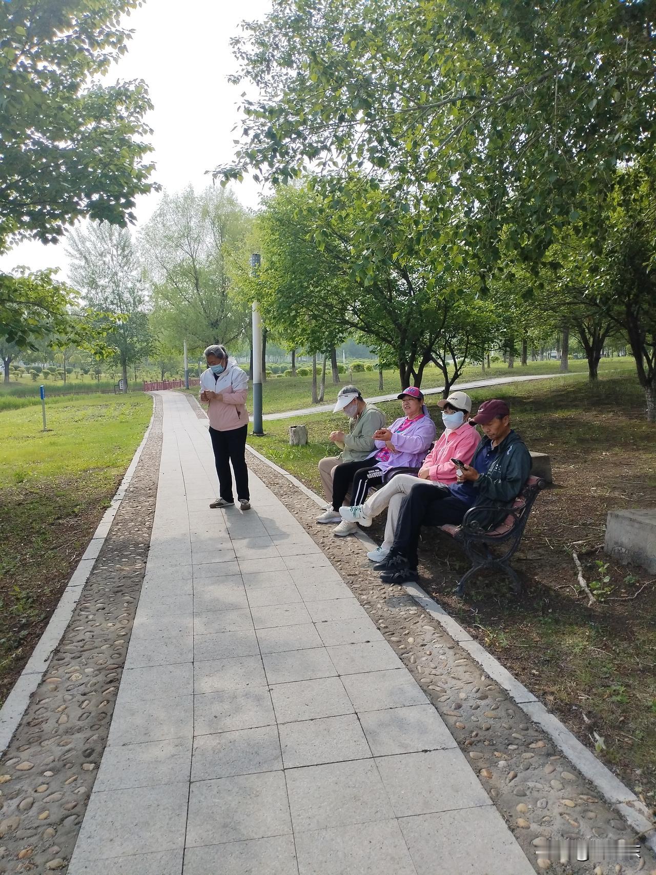 河畔
歇憩长椅赏河塘，
芳草玉树抹金黄。
蛙鼓虫鸣鸟落地，
请续句……
（两岸垂