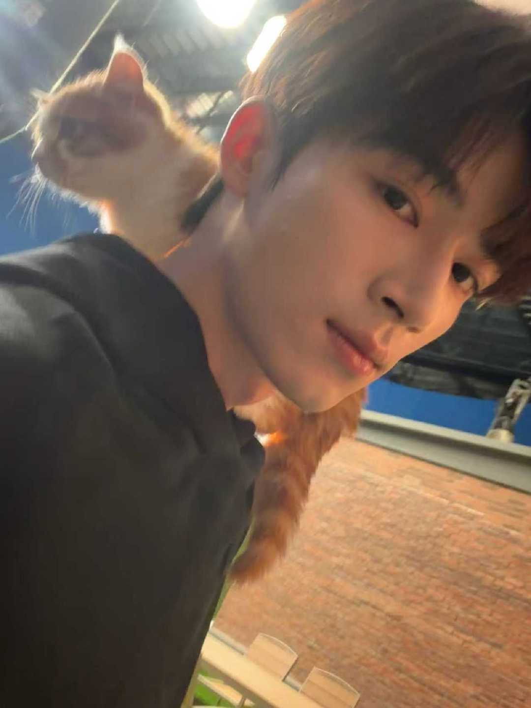 王星越把猫扛在肩上 王星宇把猫扛在肩上王星越真的很宠自己的小猫呀，和猫咪贴贴也太