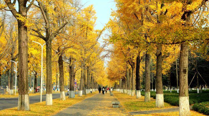 医生那句“顶多3到5个月”，像判决书一样砸下来，舅舅的生命直接进了倒计时，最扎心