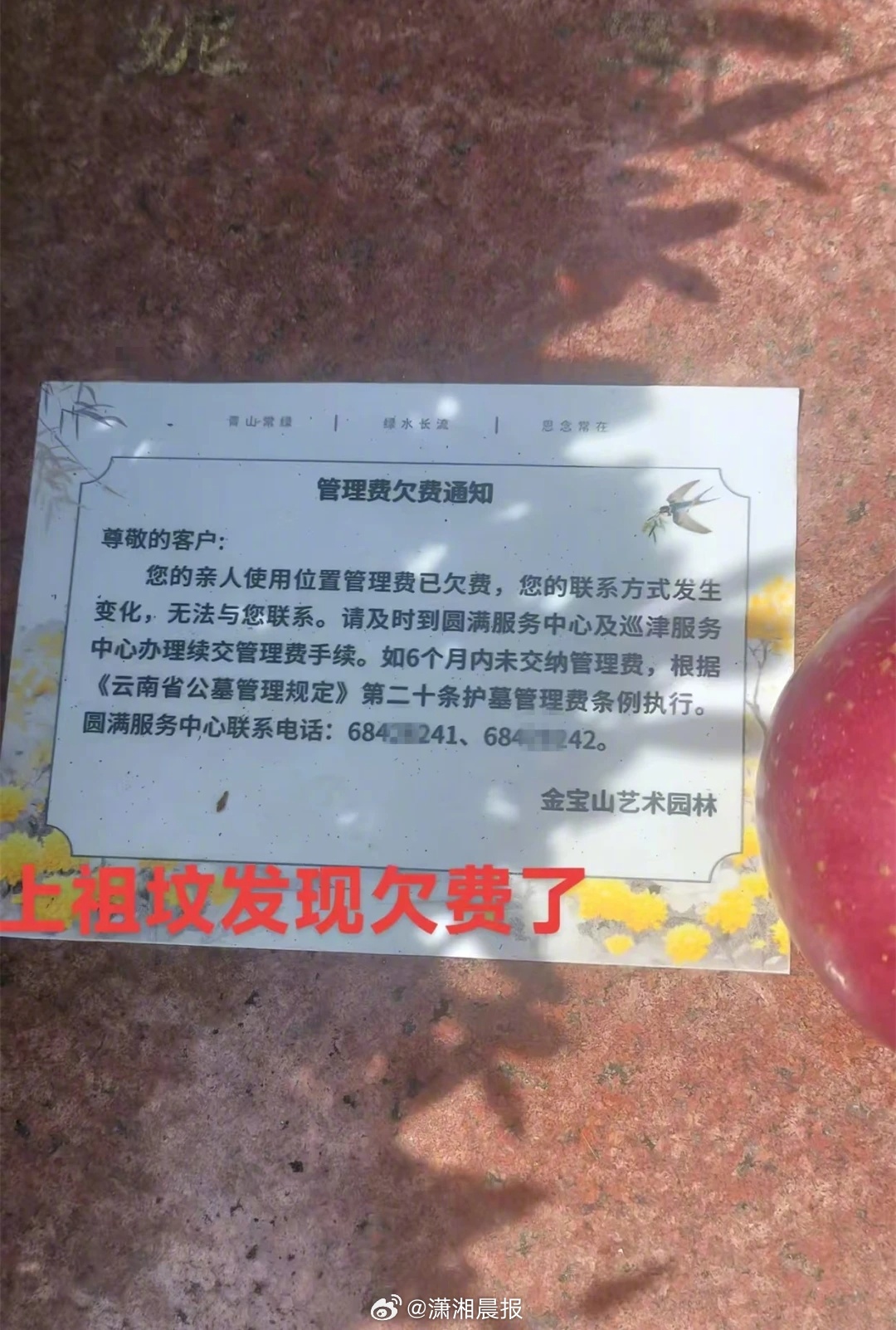 #上坟发现墓碑被贴欠费通知单#【#当地回应墓碑被贴欠费通知单#：费用含绿化卫生安