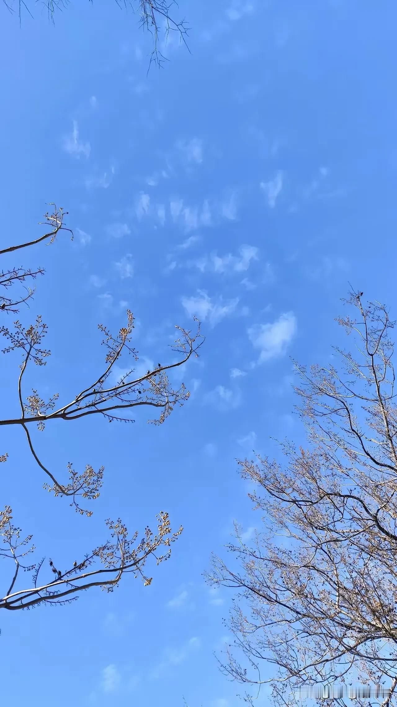 如果一个人太过注意别人的言语，
注定迷失在别人的世界里。
这世界上的事情只有一个