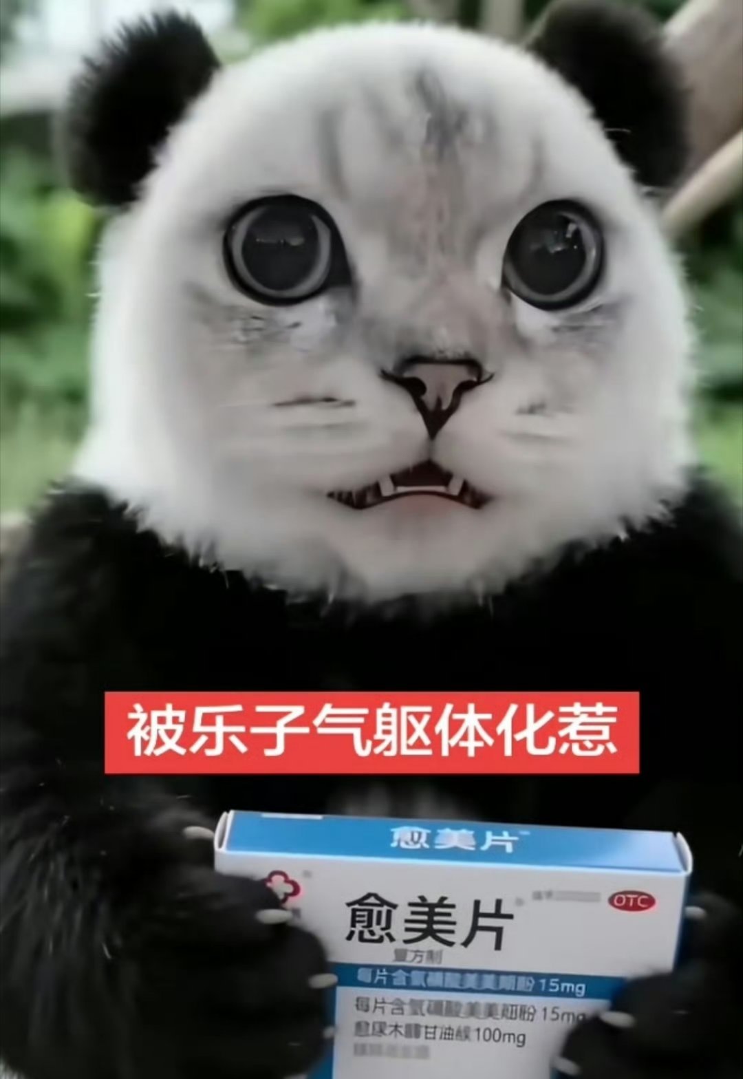 真给睡了 