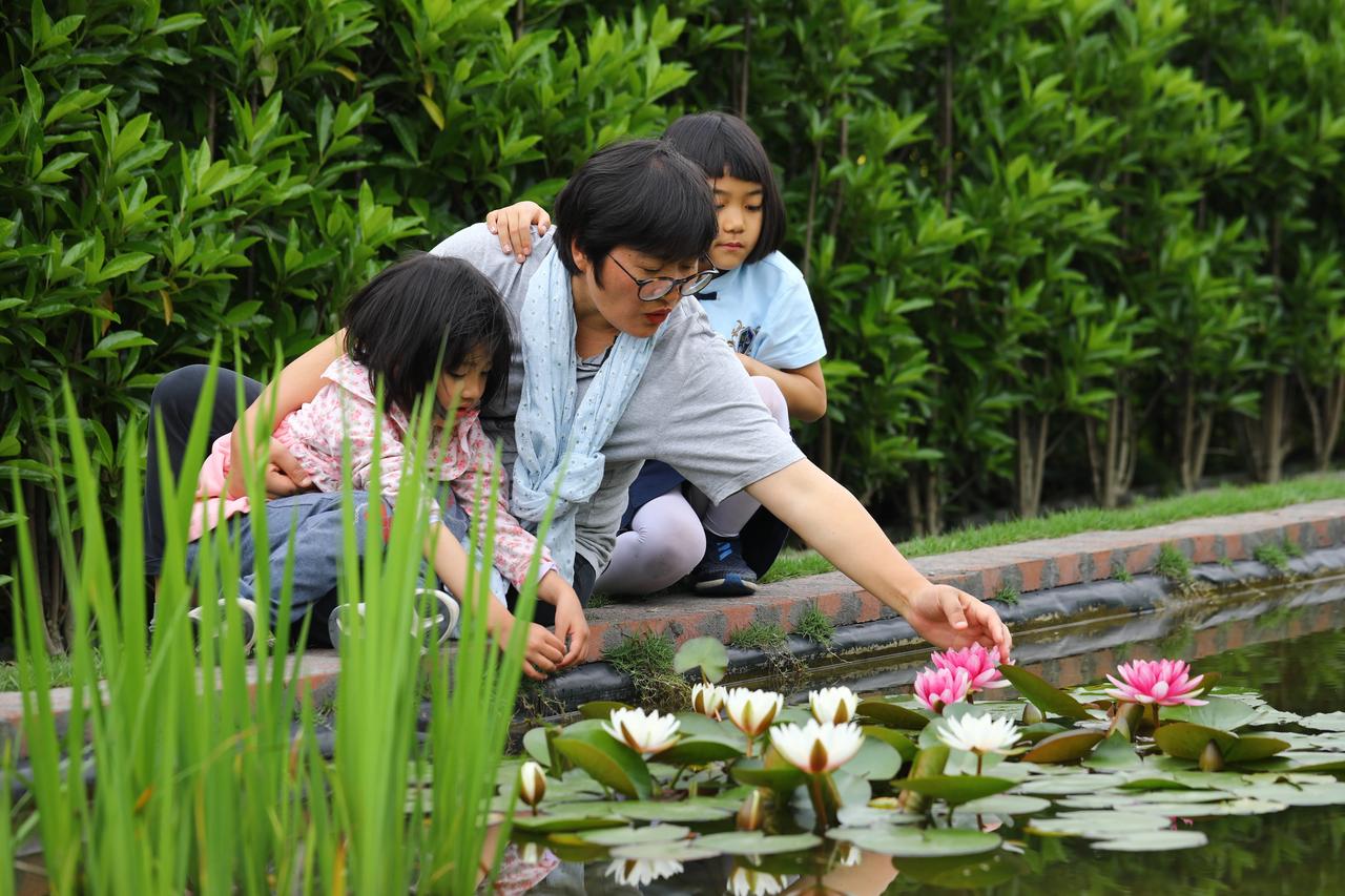 她端过盘子、刷过油漆、卖过投影，工地上搬过砖头，凭什么靠一个花园涨粉200万呢？