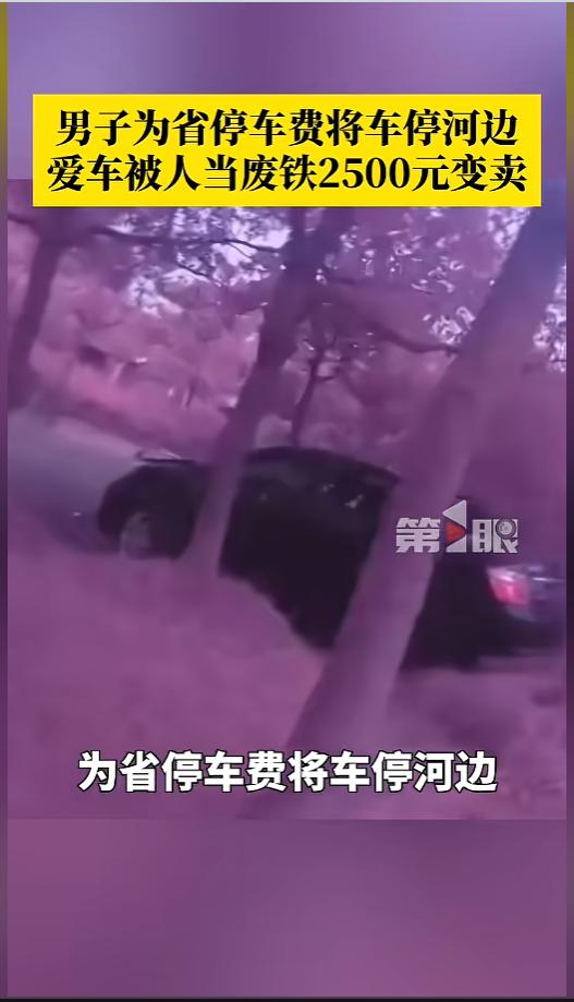 “一个敢卖一个敢收！”6月6日报道，上海，一男子为省停车费，把爱车停在了一处无人