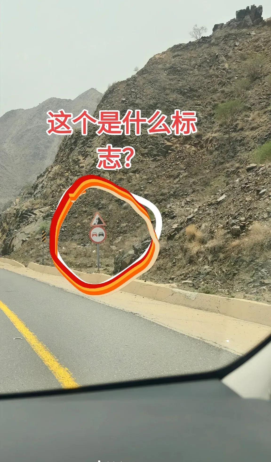 网友:
开车十几年这标志第一次见，这是啥意思呀？老师傅们！谁懂呀？[what]