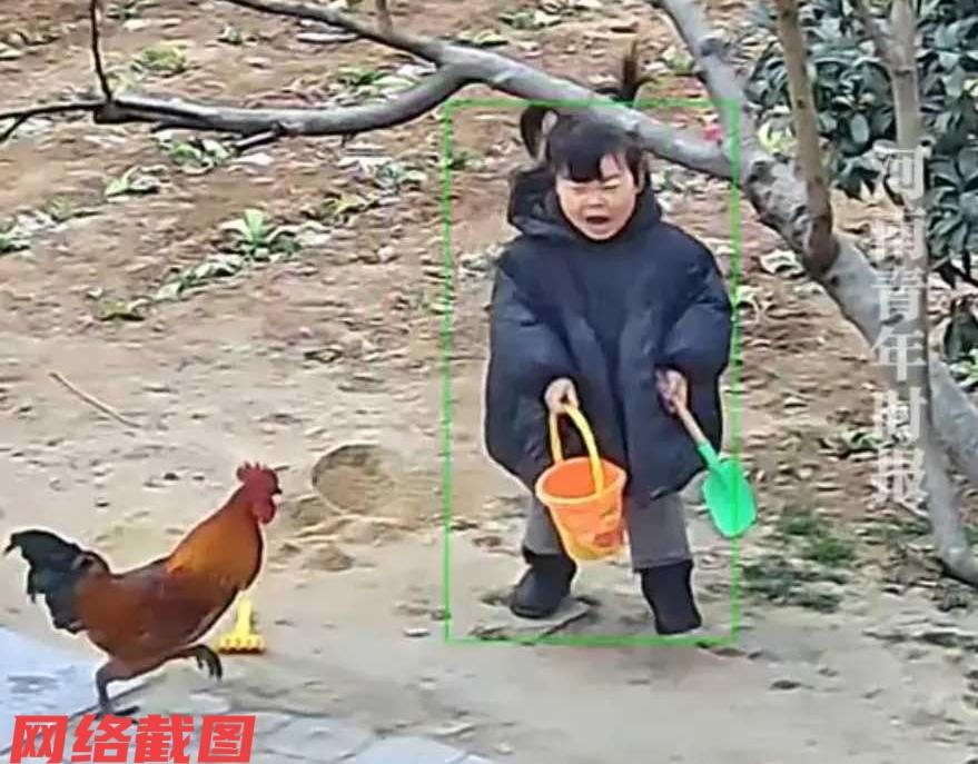 江苏宿迁有女童正在院中独自玩耍。

只不过院落里突然有一只公鸡，不知怎么冲过来将