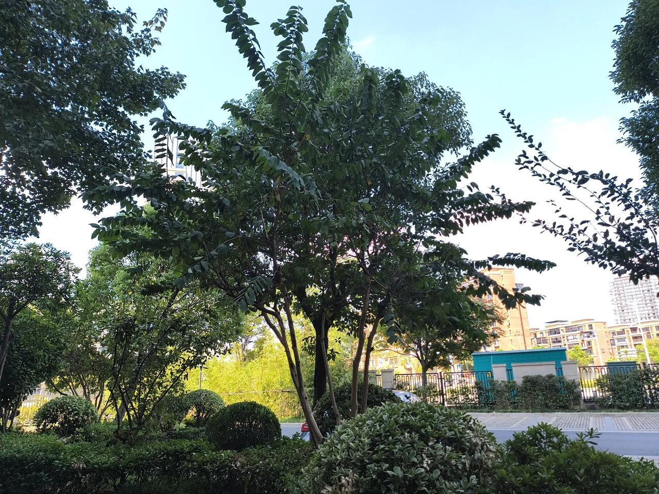 忙碌的一上午。周六有毒