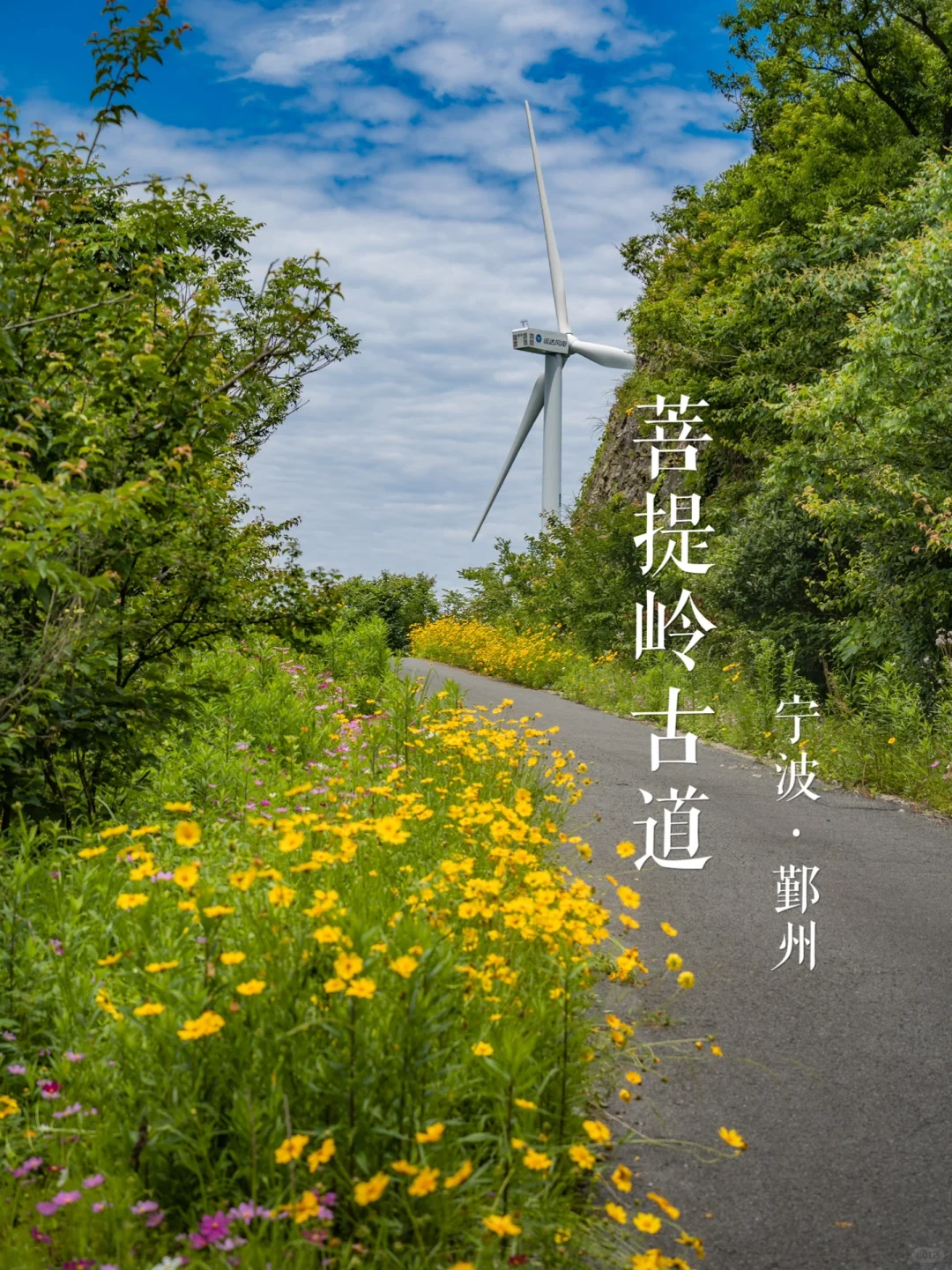 “风车花路”菩提岭古道 | 华东名山录