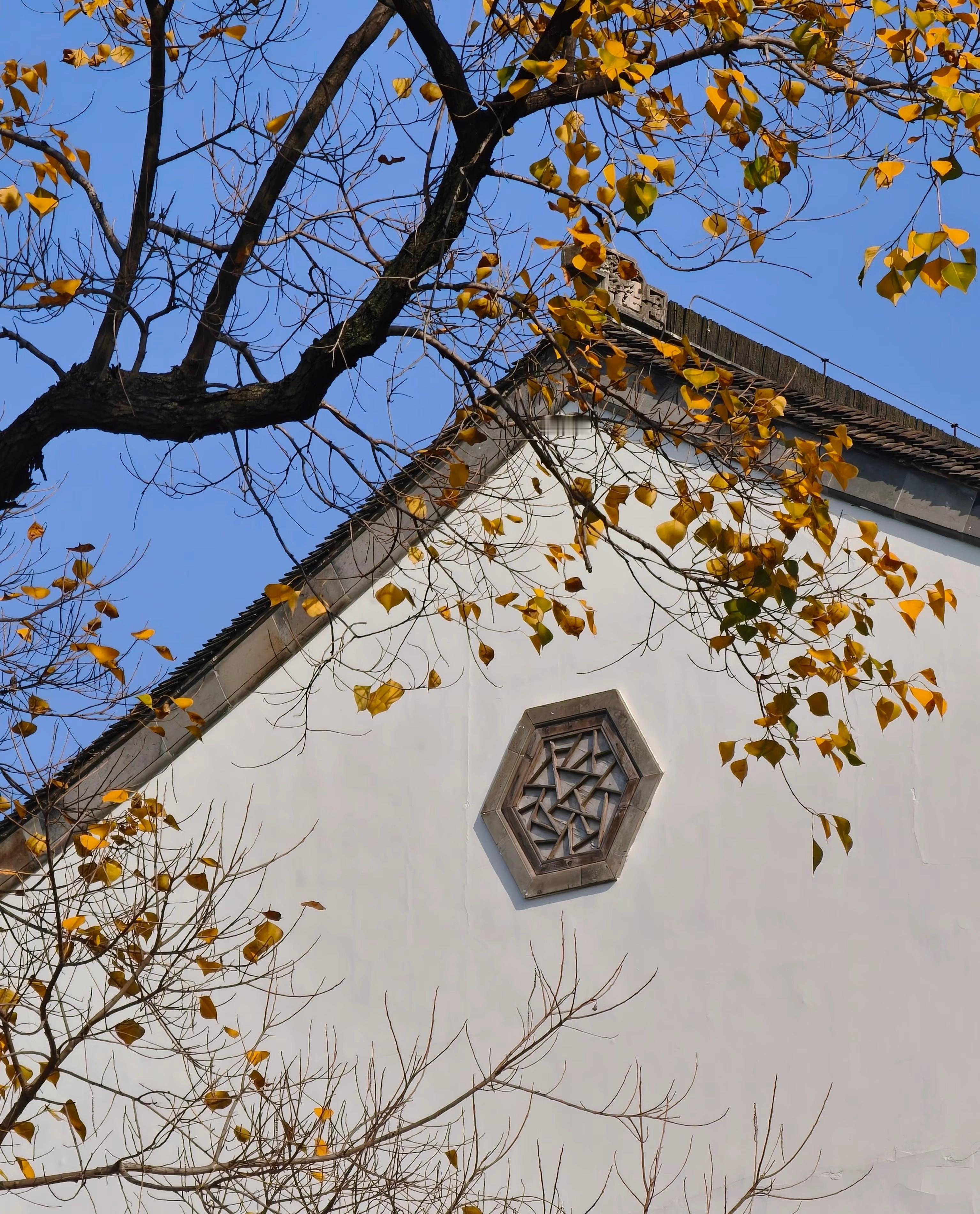 以前最恨关系户，恨自己不是关系户。后来才懂，讨厌的不是关系，是那个使不上劲的自己