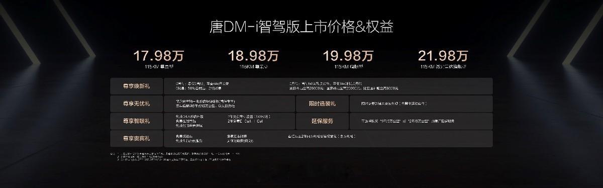 引领20万级家用SUV智驾普及，唐DM-i智驾版上市售价17.98万元起 不只智