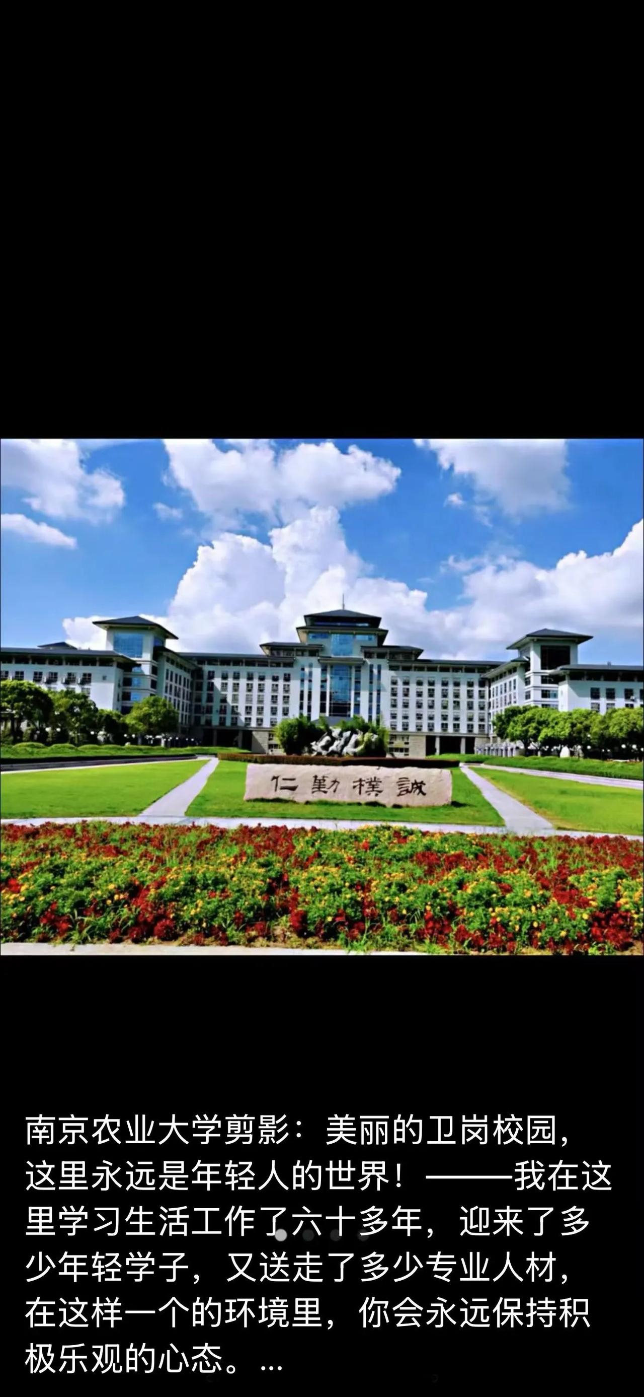 美丽的南京农业大学卫岗校园剪影（顾焕章）

值此春光明媚之际，南京农业大学卫岗校
