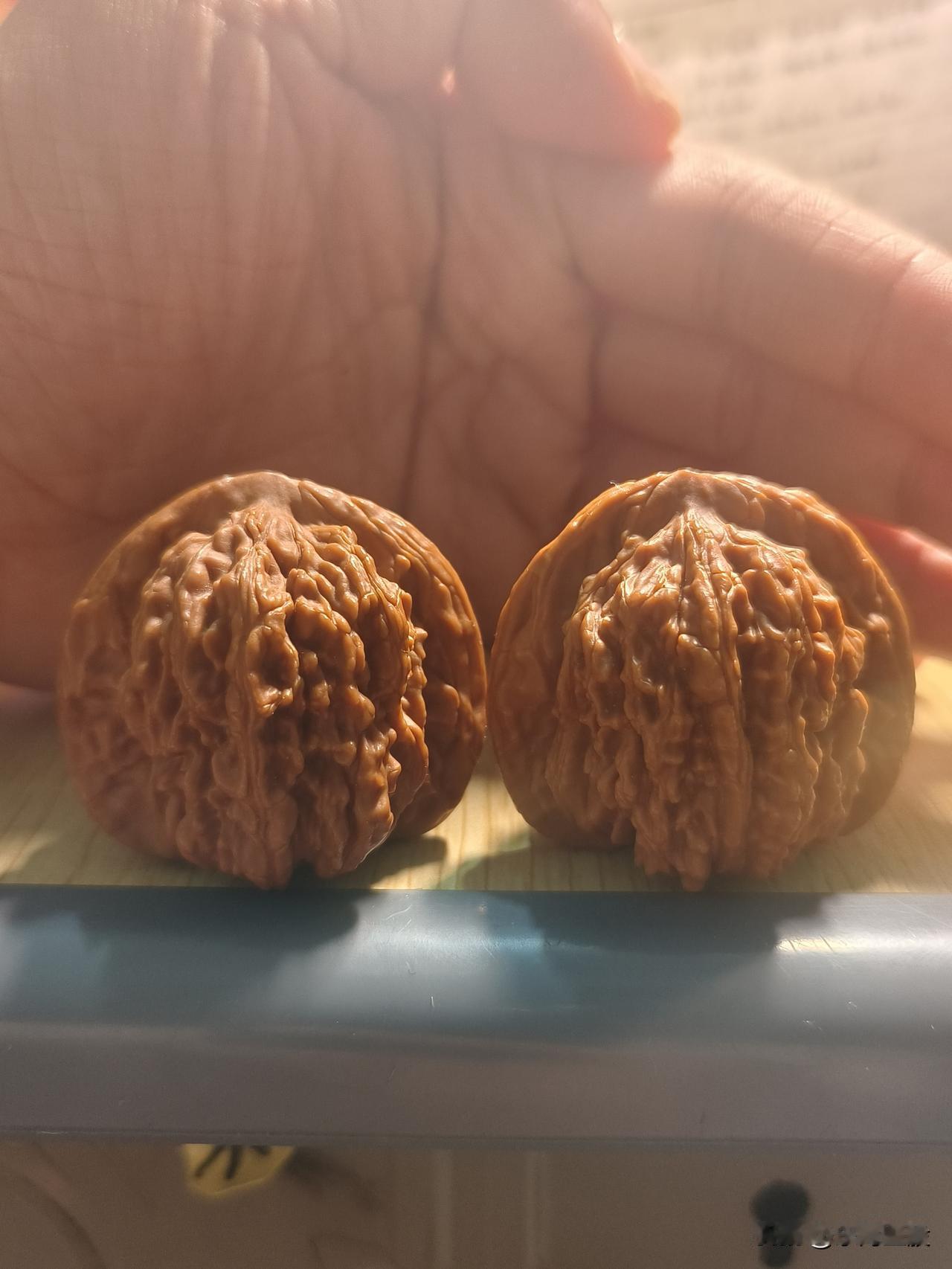 一对46尺寸野生四座楼，正圆侧方菊花底流水纹四座楼中的典型代表有喜欢的可以交流！