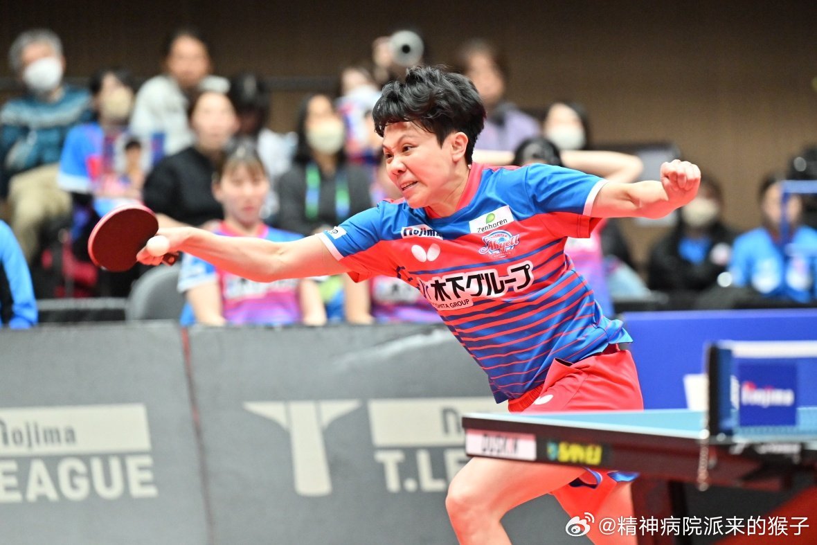 【台媒】日本T联赛郑怡静也助队夺冠 回首职桌之路 自律是给球迷最好交代继昨日“小