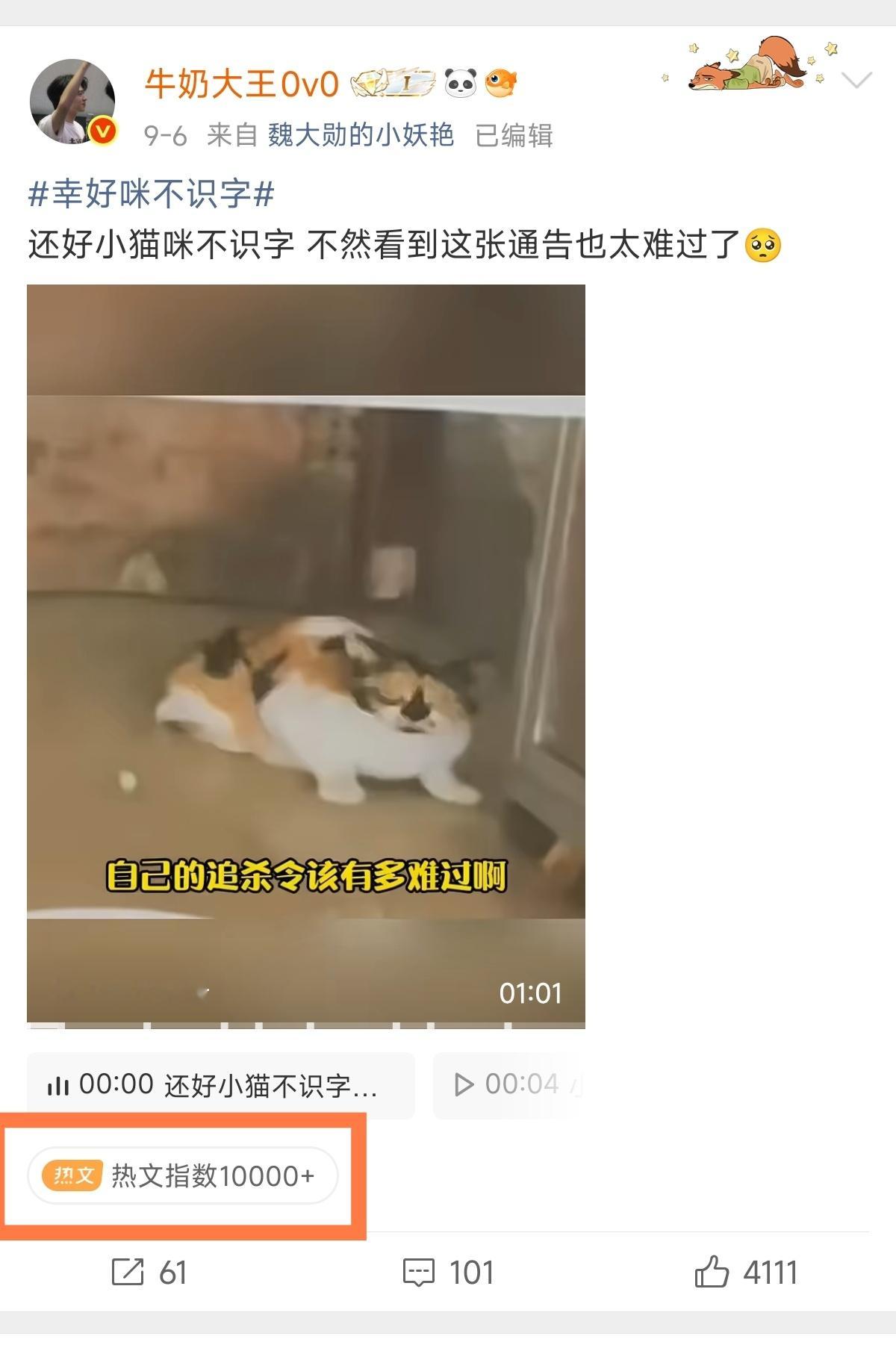 史无前例的[震惊]被猫猫之神宠爱了 ​​​