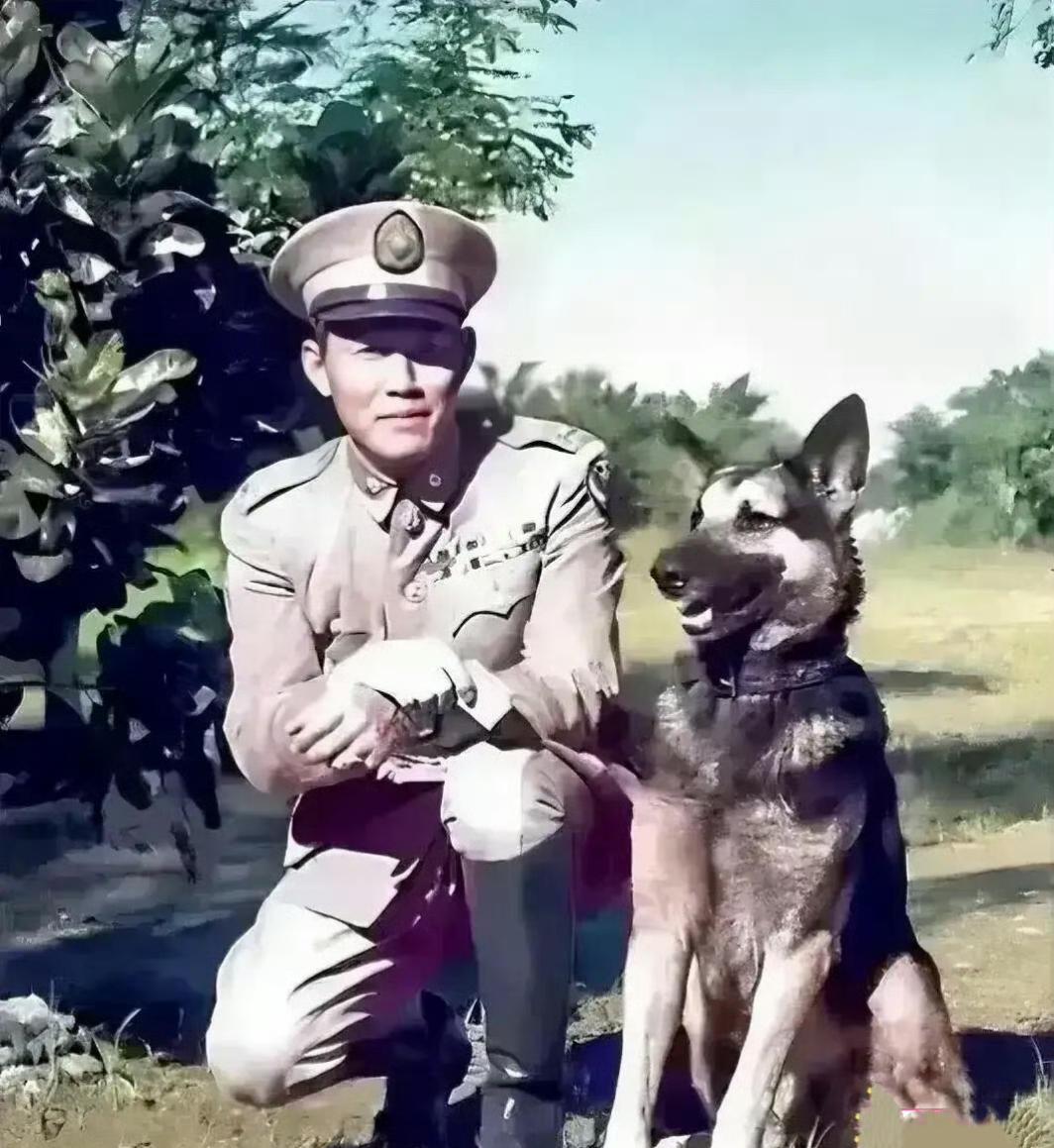 蒋经国去看望被幽禁多年的孙立人，见面后，孙立人提了三个要求，蒋经国听了后久久无言