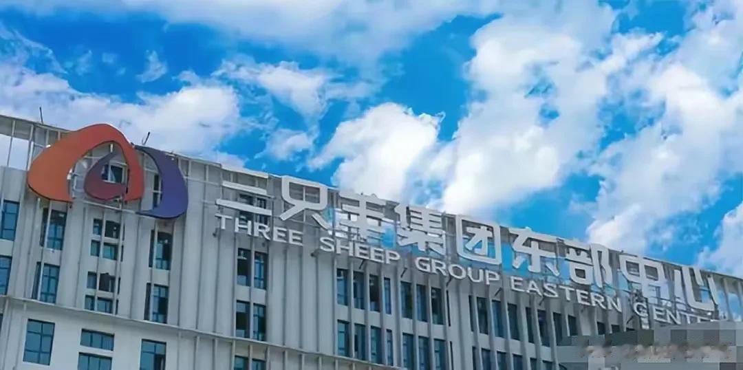 小杨哥分公司又开业了，都不要眼红小杨哥，人家的成功靠的是自己的真本事，在13，1