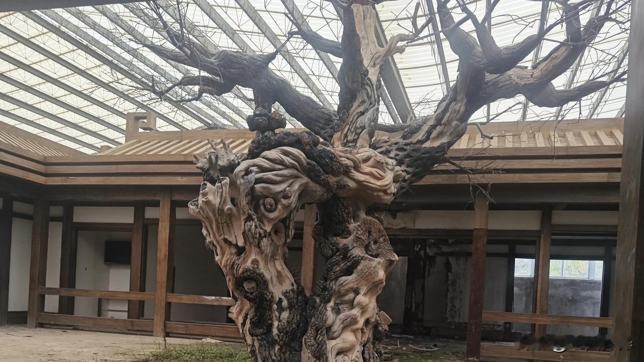 严格按照平仄要求来创作对联，非常有助于传承对联文化那深厚的精髓。 对联之中有深意