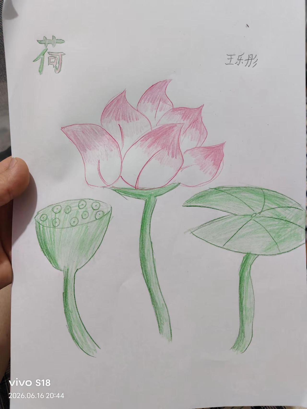 俺家了大画家自学成才 怎么样