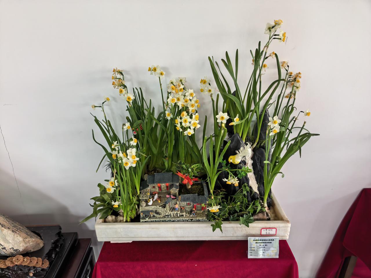 春日生活打卡季阿德巴约得了83分。超过了科比的81分。这太牛了，仅次于张伯伦的1